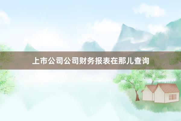上市公司公司财务报表在那儿查询